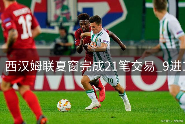 西汉姆联夏窗完成21笔交易 9进12出