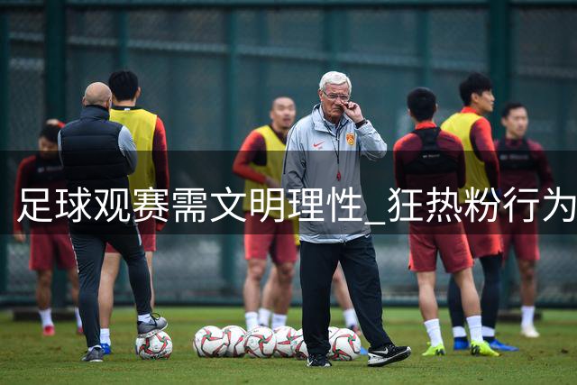 足球观赛需文明理性 "狂热粉"行为触碰法律红线